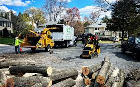 Trusted Brent, FL Tree Removal and Landscaping Services Experts